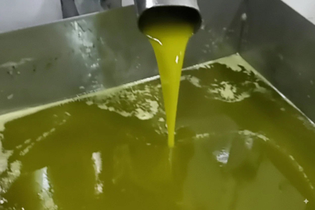 Qualities of Palestinian Olive Oil