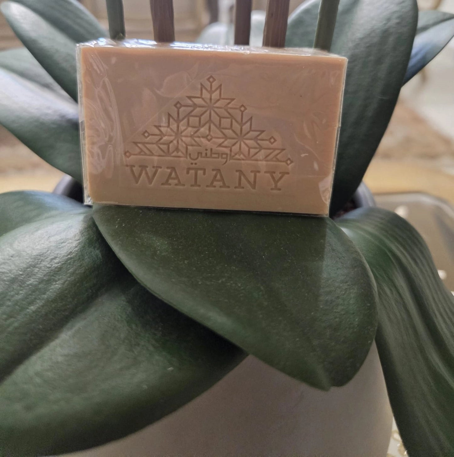 Palestinian Nabulsi Pomegranate Olive Oil Soap Handmade in Nablus