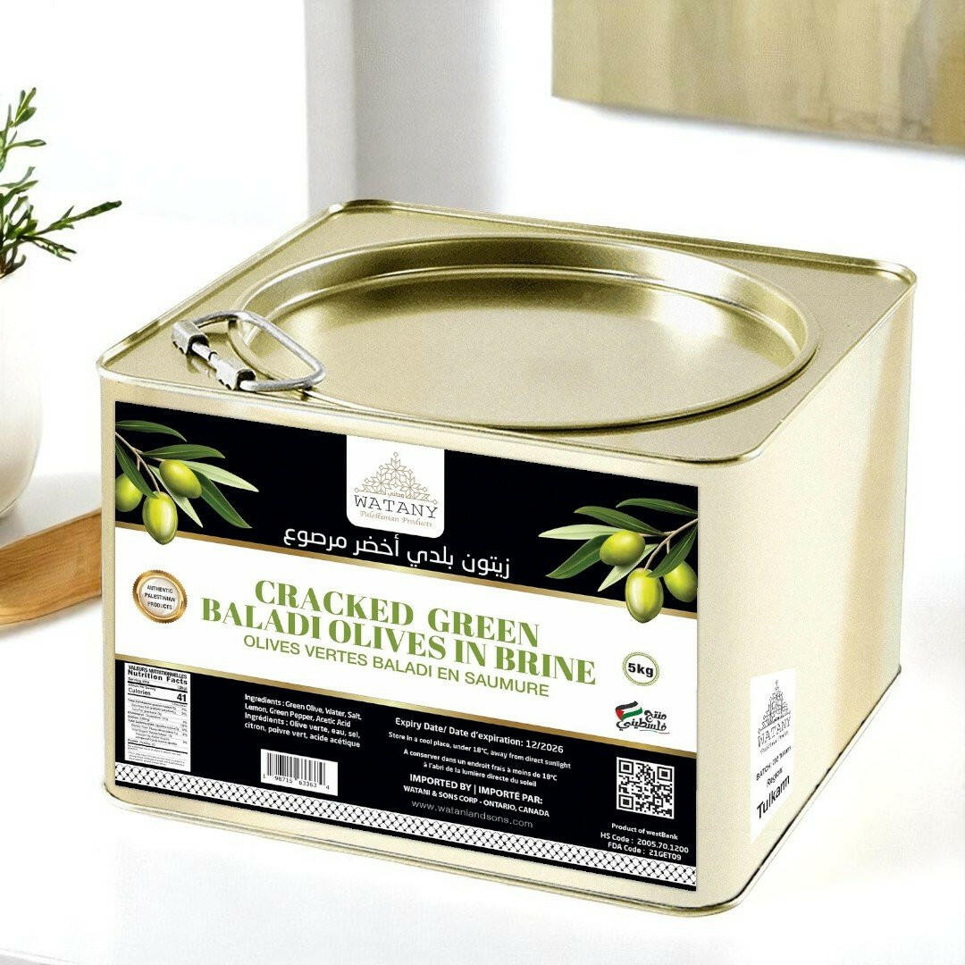 Cracked Green Baladi Olives in brine from Tulkarm.