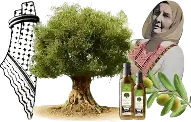 Olive tree with olive oil bottles and a woman wearing a headscarf on a white background