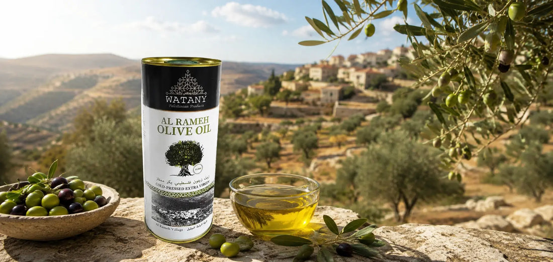Why Palestinian Olive Oil Is Considered Among the Best in the World