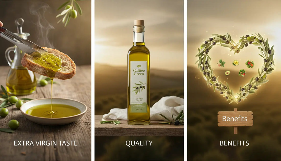 Galilee Green Olive Oil: Extra Virgin Taste, Quality & Benefits