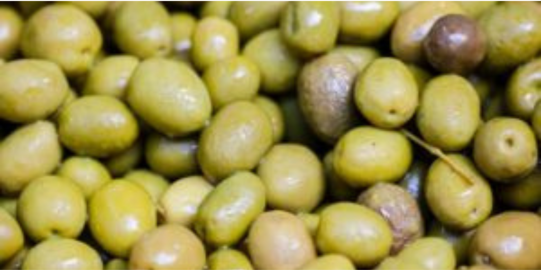 The Oldest Olive Oil Ever Found Is 8,000 Years Old