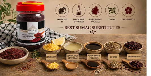 Best Sumac Substitutes (If You Can’t Find It) - Watany Palestinian Products