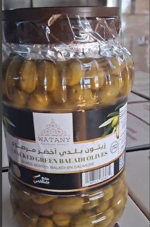 Olives vertes marinées palestiniennes de Jénine
