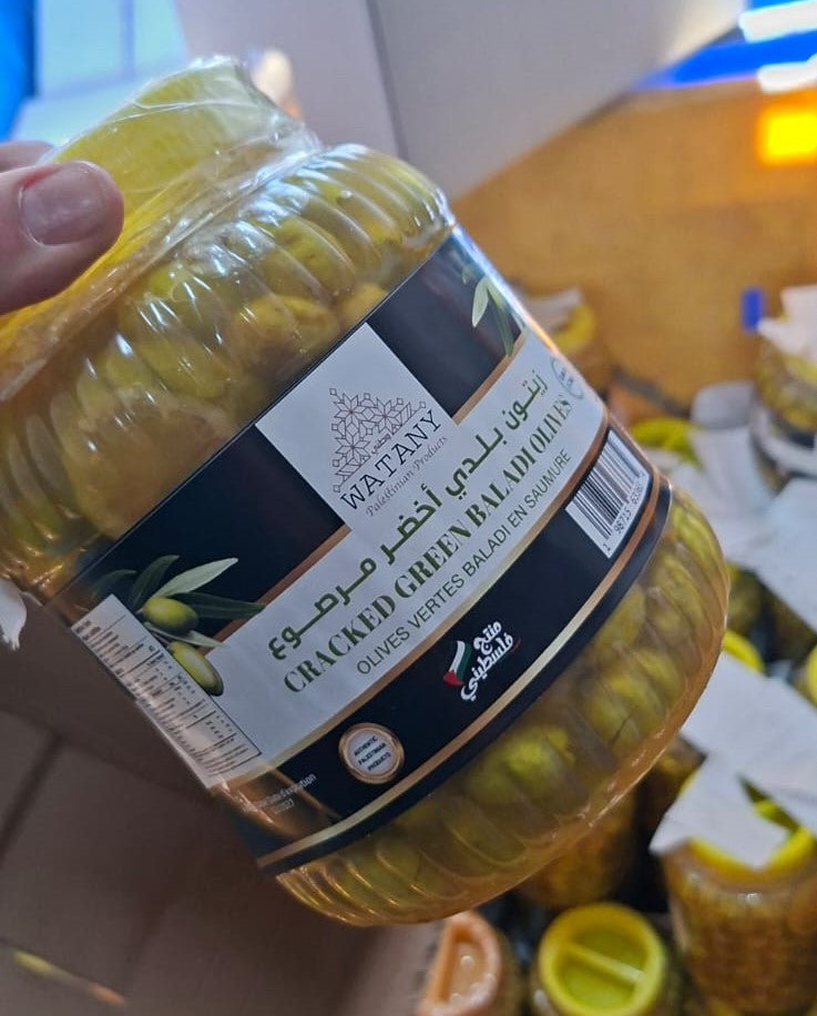 Olives vertes palestiniennes marinées de Tulkarm