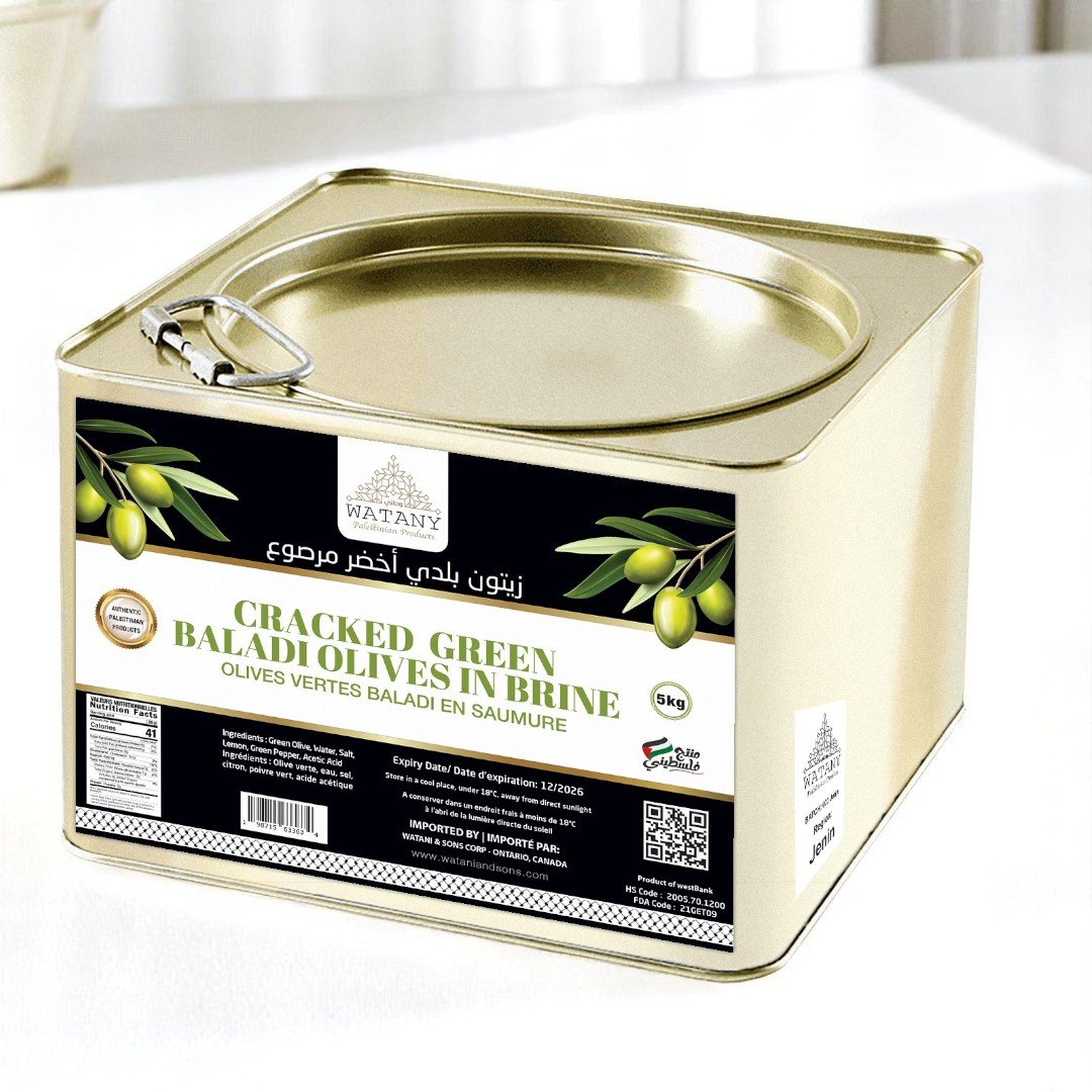 Green Baladi Olives Jenin 5KG – Authentic Palestinian cracked olives packed in brine with herbs, imported by Watani & Sons Corp