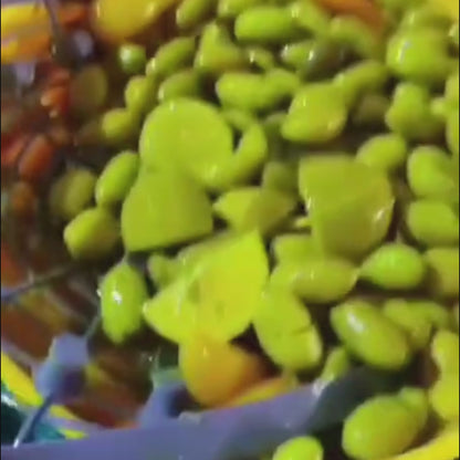 Olives vertes marinées palestiniennes de Jénine