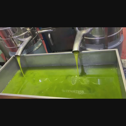 Palestinian Olive Oil from Jenin