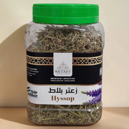Zaatar Hysope (Balat)